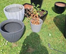 Plant pots