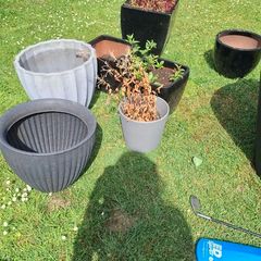 Plant pots