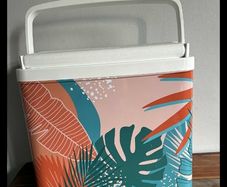 17L cool box
