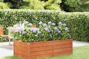 Garden Raised Bed Rusty 160x80x45 cm Corten Steel