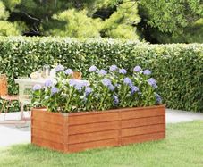 Garden Raised Bed Rusty 160x80x45 cm Corten Steel
