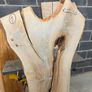 Live edge Ash Slab - Kiln Dried Image 6