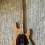 Sx Stingray bass Image 3