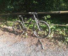 Mountain bike Carrera