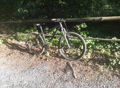 Mountain bike Carrera