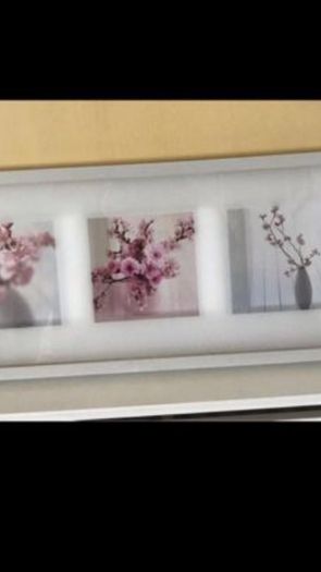 Framed Floral Print