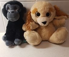 Gorilla and Dog Plush Soft Toys