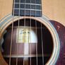 Eastman E1D Deluxe Image 4