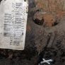 differential Image 6