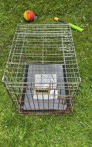 Dog cage