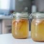 Organic Kombucha Scoby Image 2