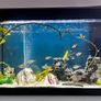 125L Fluval Tank Image 3