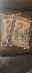 Two brand new frames