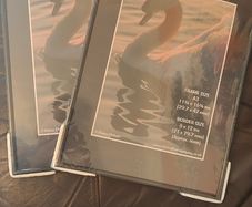 Two brand new frames