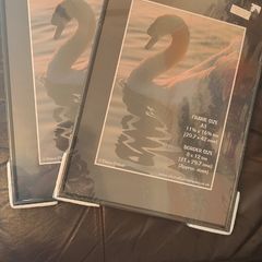 Two brand new frames