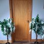 2 Wisteria trees decor Image 2