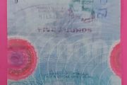 Northern Bank 1999 MILLENNIUM PLASTIC Five Pound note