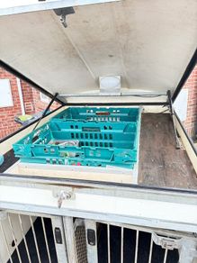 Dog trailer Factory build