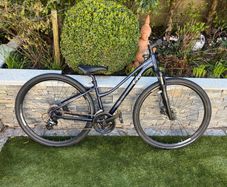 ladies bike