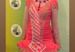 Irish dancing dress