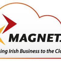 Magnet Networks Jobs in Ireland