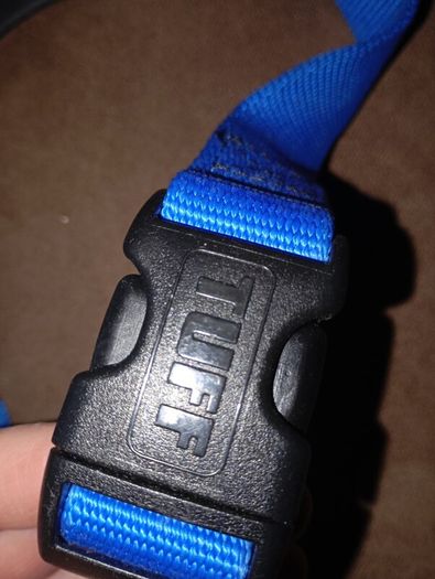 dog harness