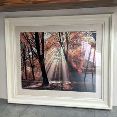Frame