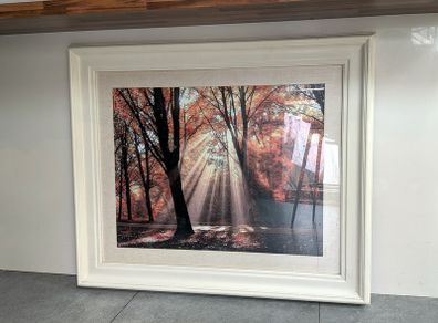 Frame