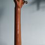 Siveen bouzouki Image 6