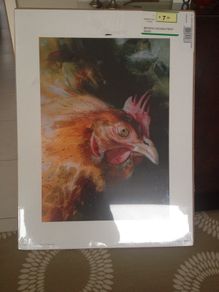 Wall art print of hen/chicken...