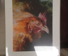 Wall art print of hen/chicken...
