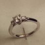 Engagement / Promise Ring Image 2