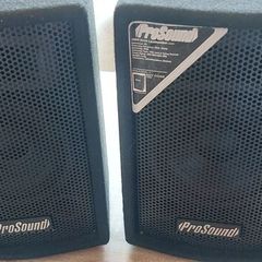 prosound 100W speakers
