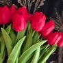 Artificial White Tulips 10 Stems 34cm Image 7
