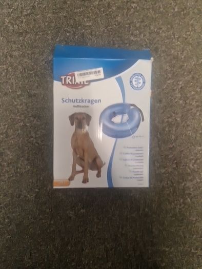dog collor