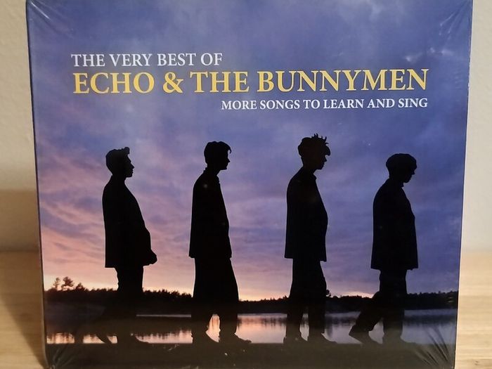 Echo & The Bunnymen Songs to Learn and Sing The Best of CD + DVD