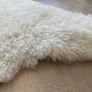 sheep skin Image 3