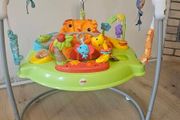 Fisherprice Baby Activity/Jumperoo