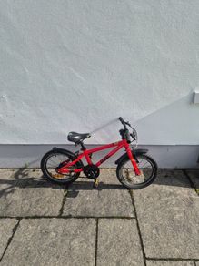 Frog 48 Bike