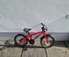 Frog 48 Bike