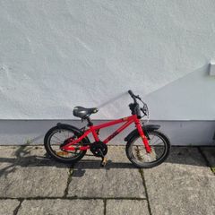 Frog 48 Bike