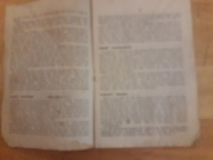 100 years old  GAA brochure 1924 All Ireland Football