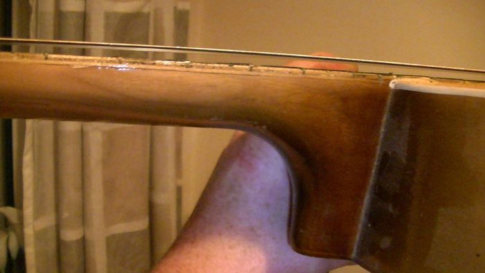 LARK Guitar