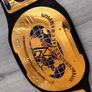 WWE intercontinental championship oval Image 2