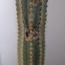 Cactus Image 4