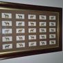 Vintage 1933 John Player & Sons "Derby Winners" Cigarette Card Framed Display Image 2