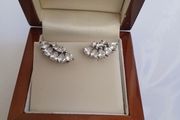 silver earrings