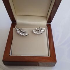 silver earrings