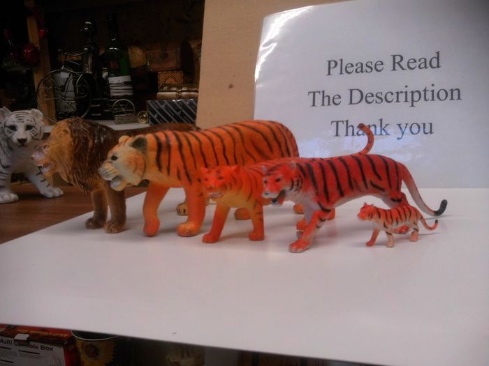 animals