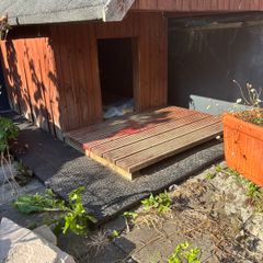 Dog Kennel